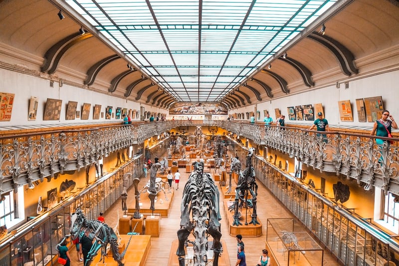 Dinosaur Virtual Reality